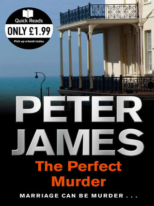 The Perfect Murder book cover