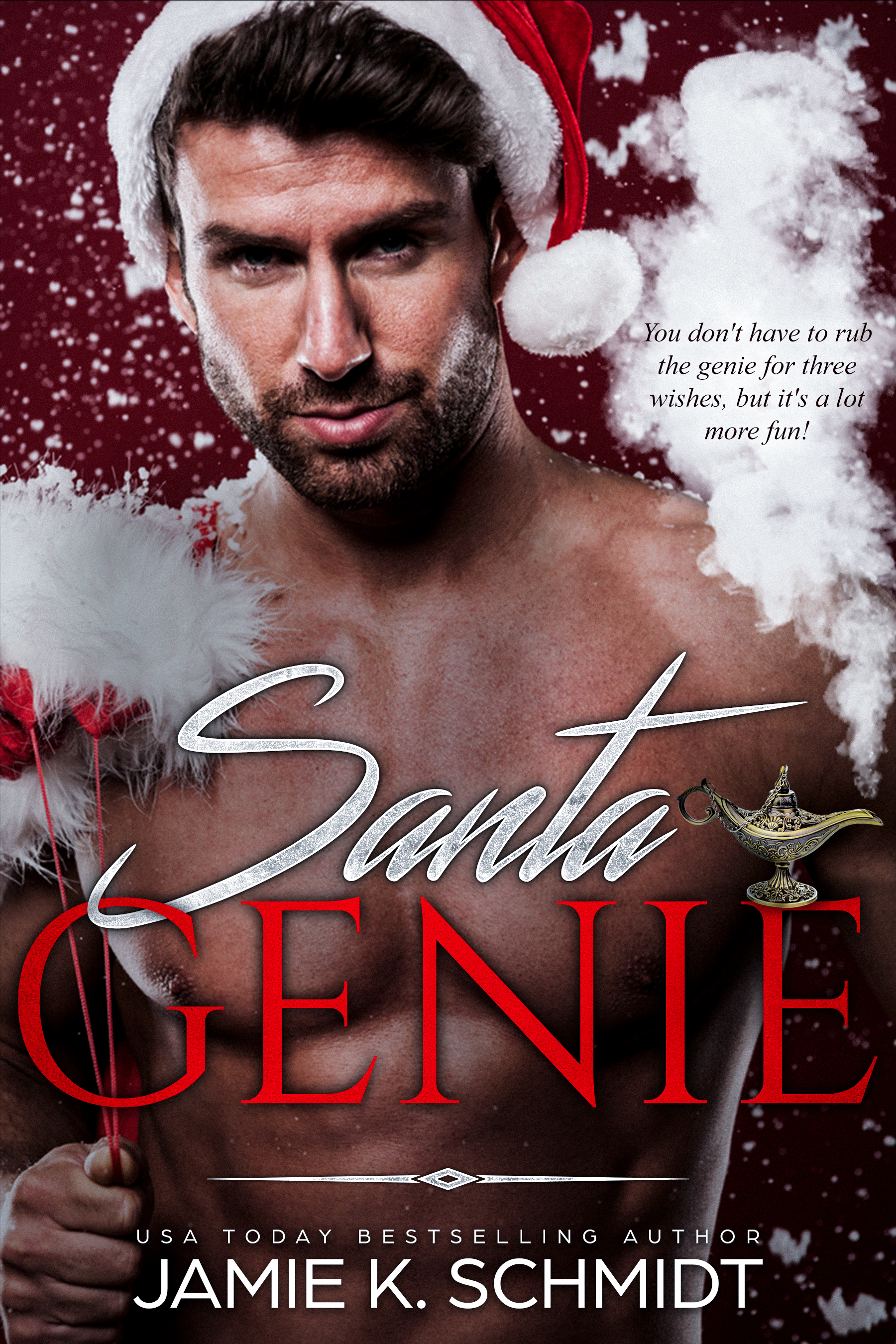 Santa Genie book cover