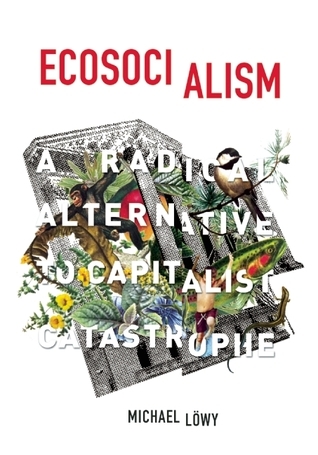 Ecosocialism book cover