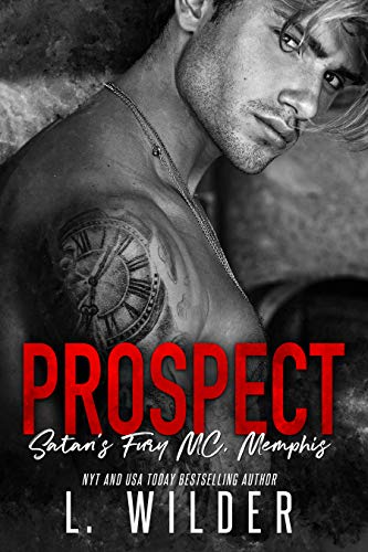 Prospect book cover