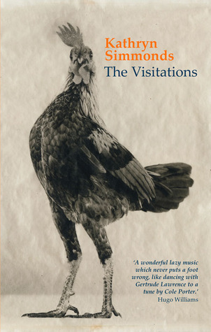 The Visitations book cover