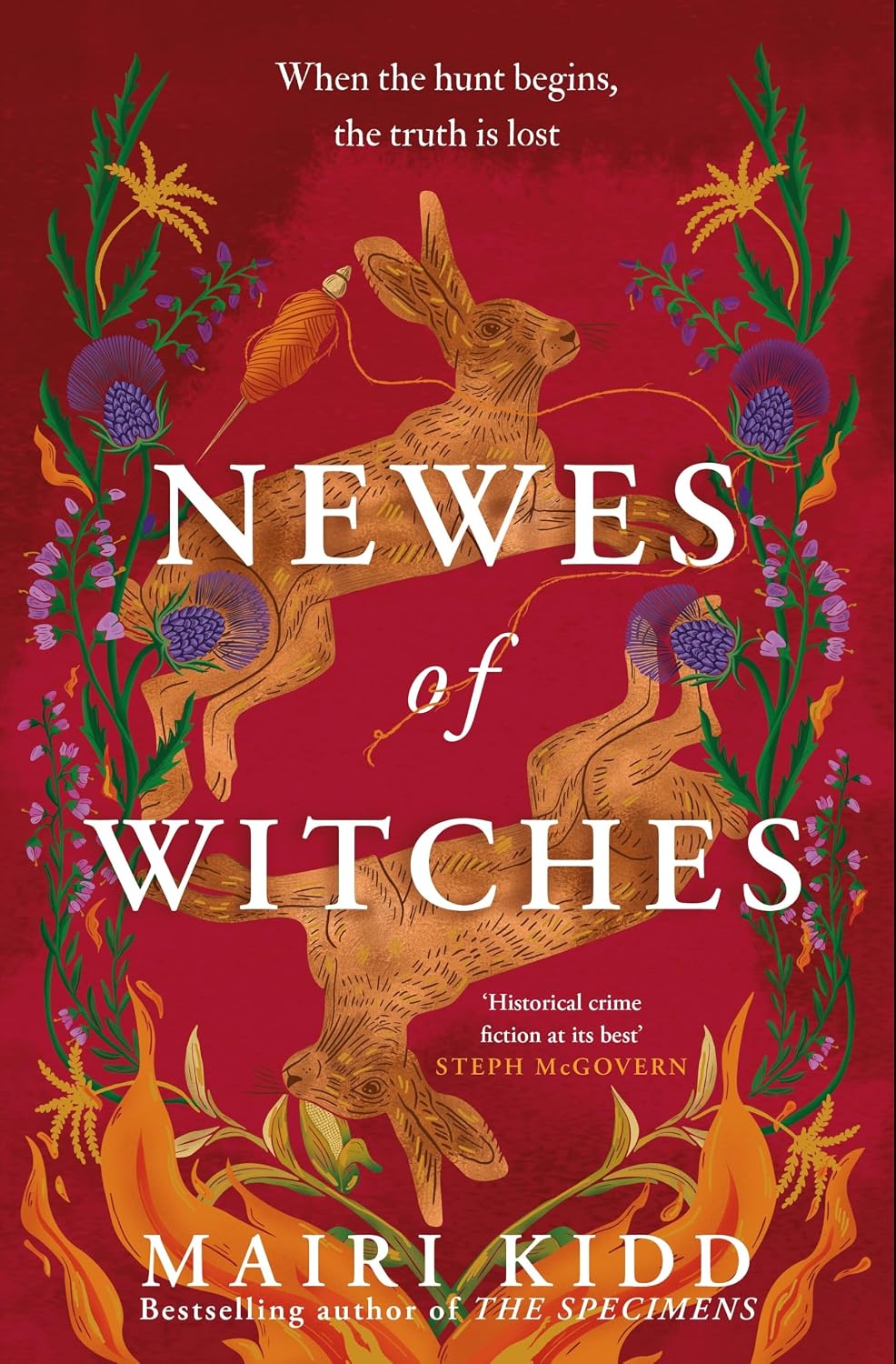 Newes of Witches book cover