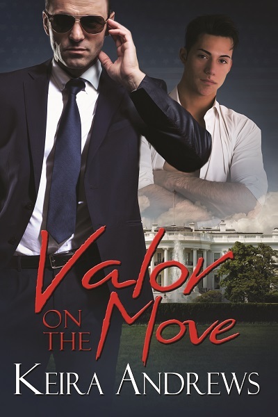 Valor book cover 1