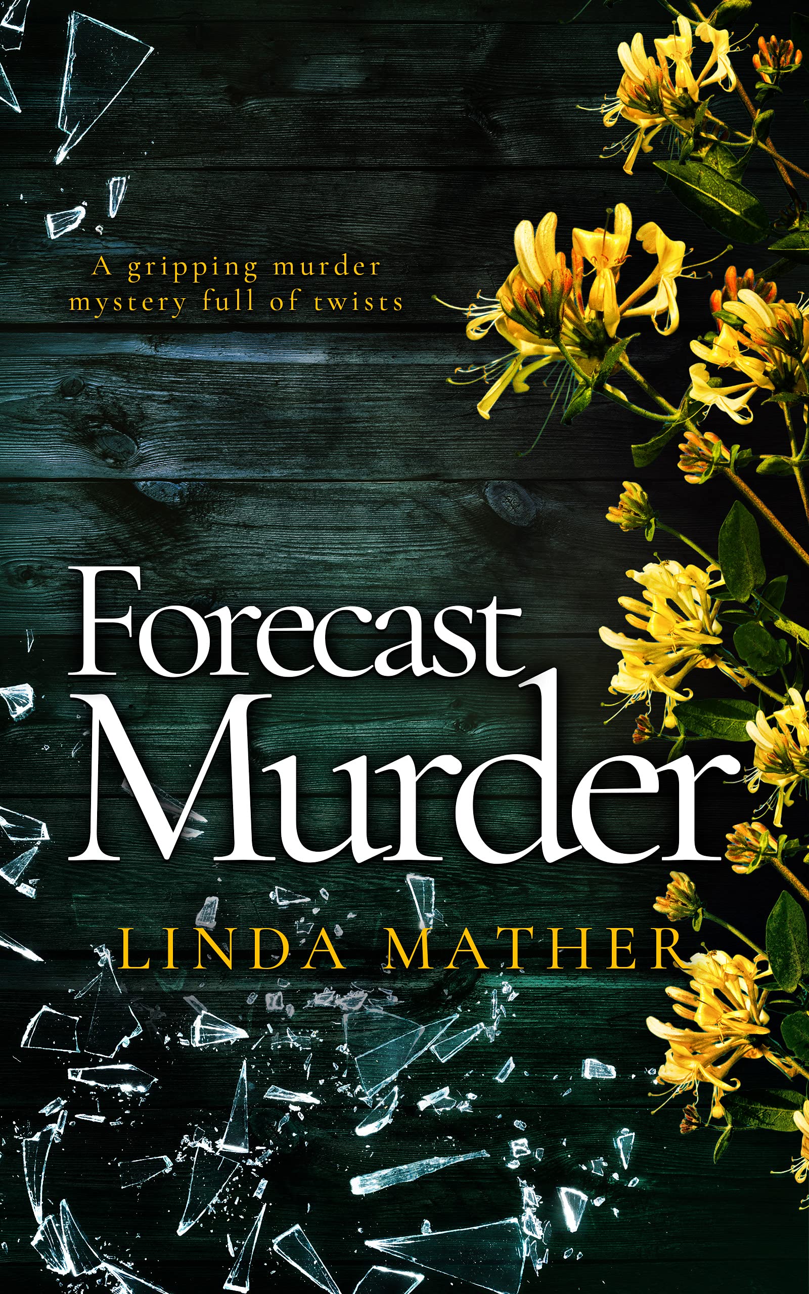 Jo and Macy Mysteries book cover 1