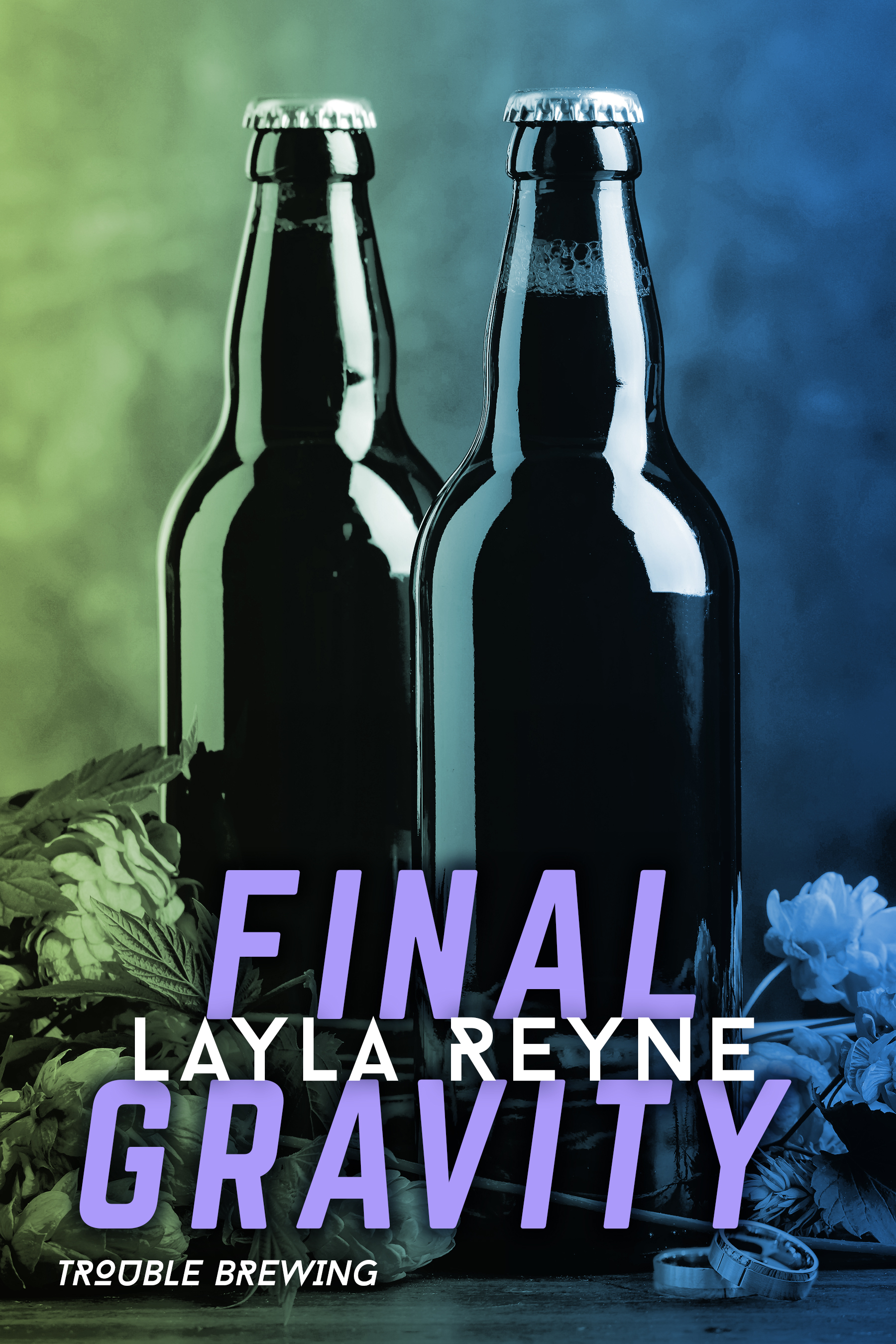 Final Gravity book cover