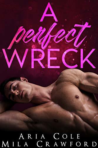 A Perfect Wreck book cover