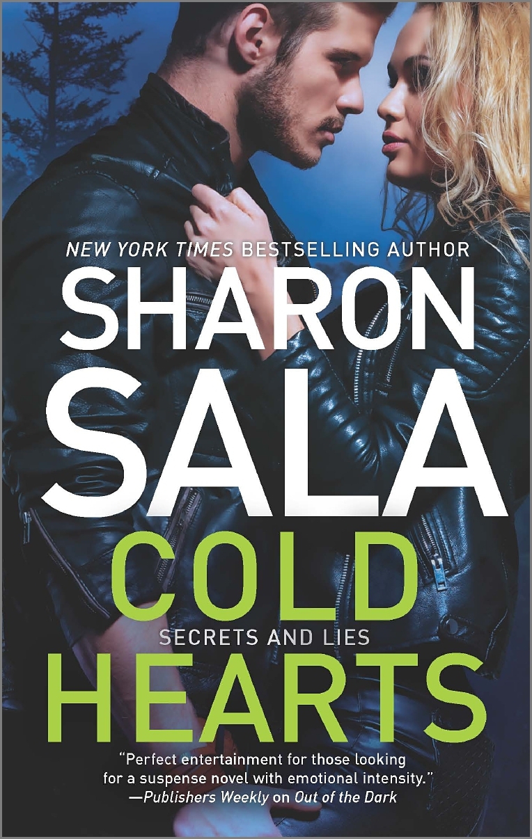 Secrets and Lies book cover 2