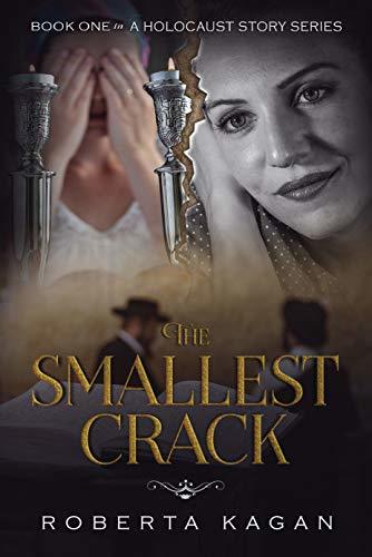 The Smallest Crack book cover