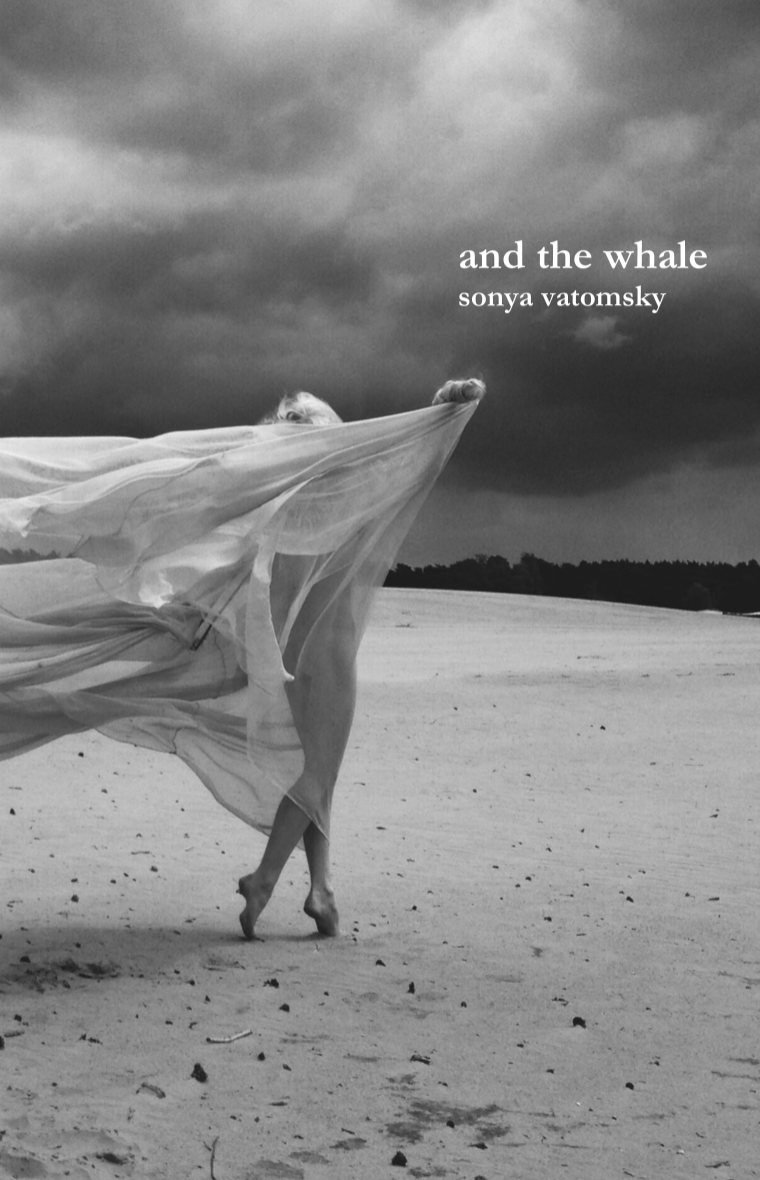 And the Whale book cover