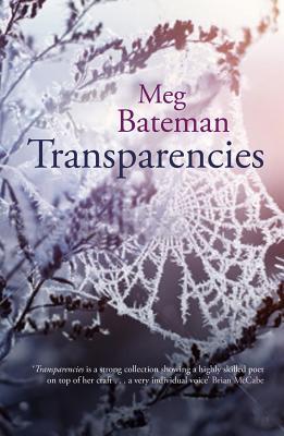 Transparencies book cover