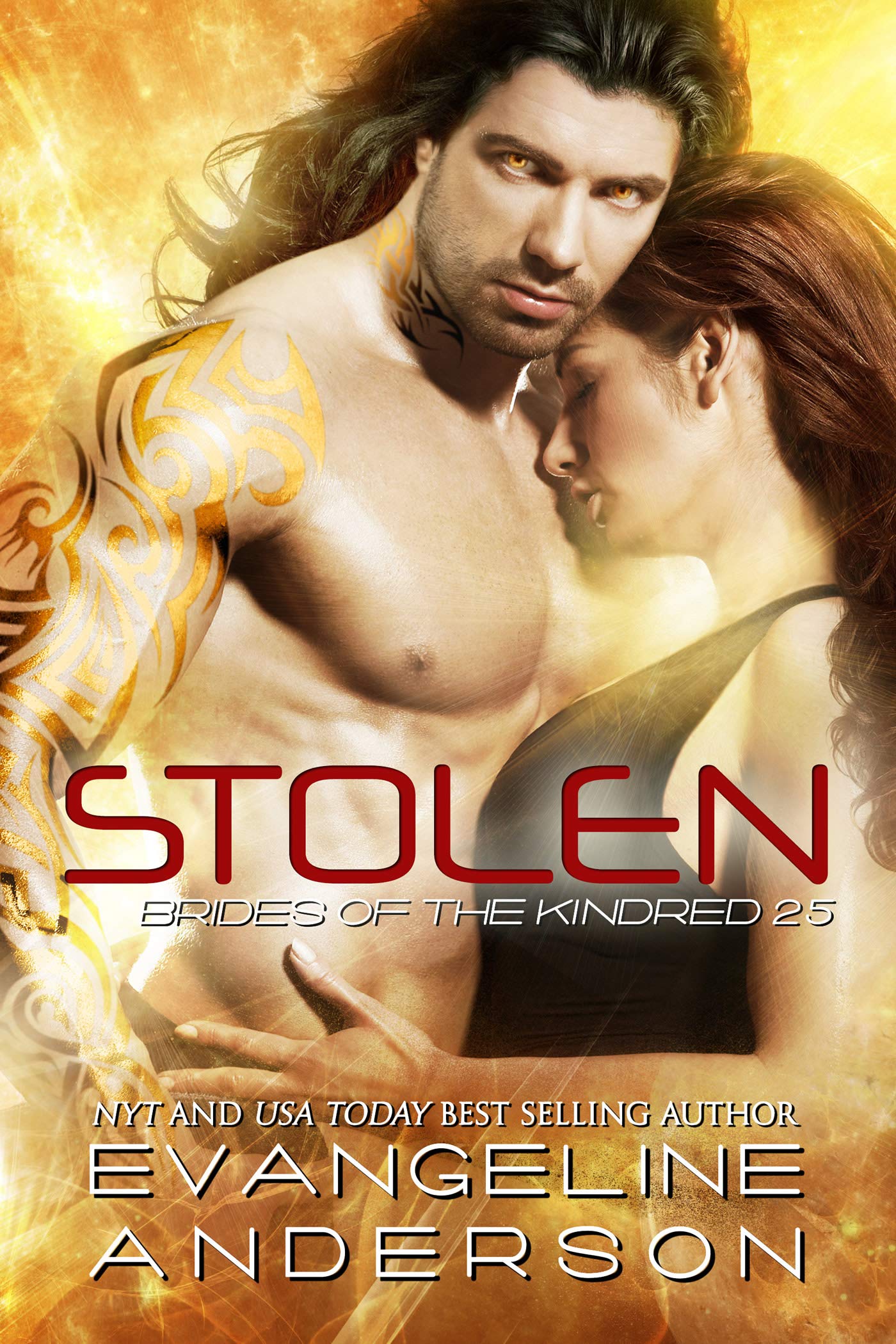Stolen book cover