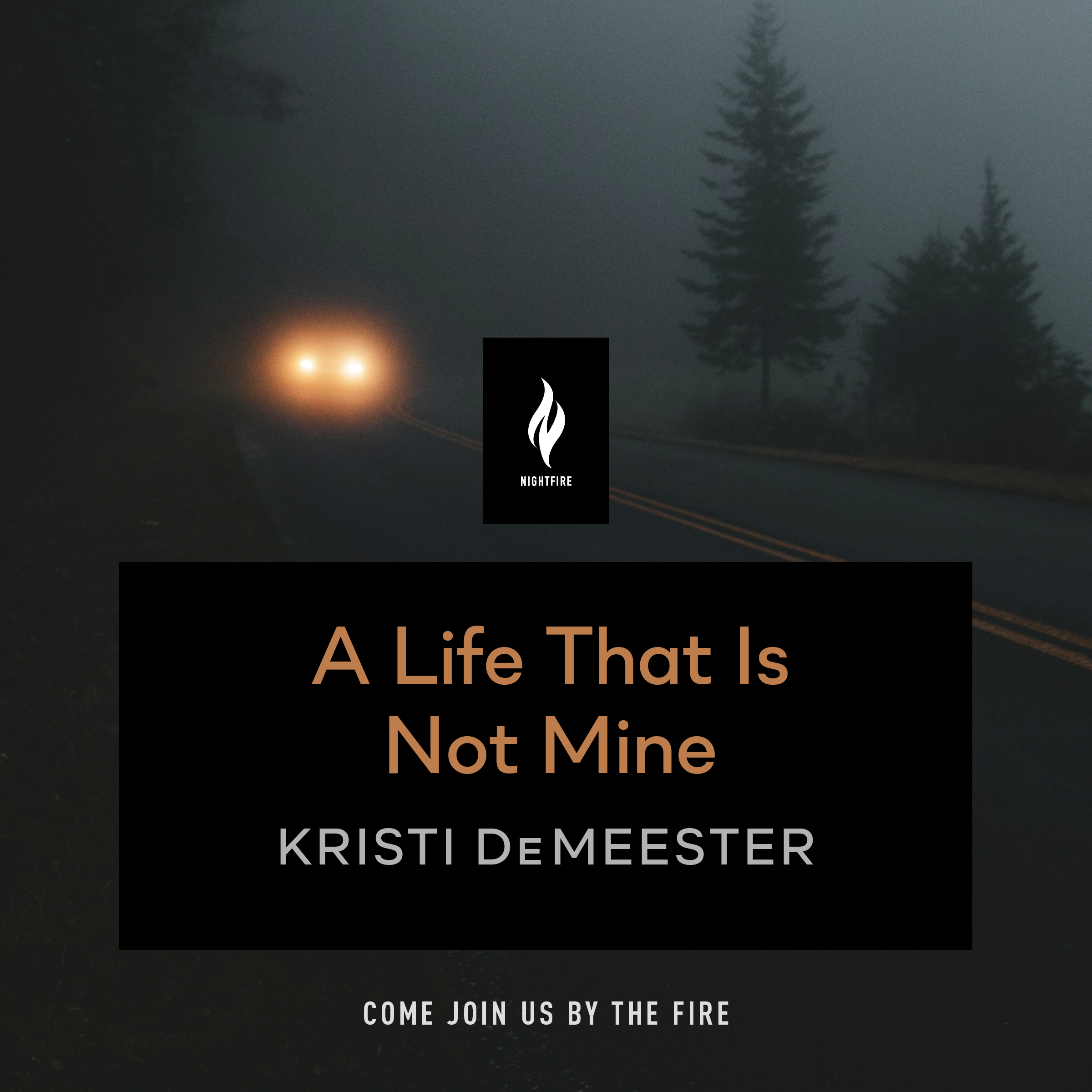 A Life That Is Not Mine book cover
