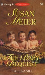 Brewster Baby Boom book cover 1