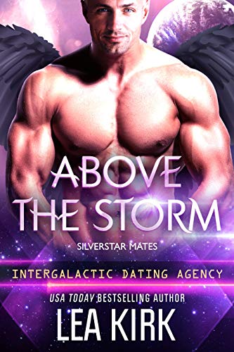 Above the Storm book cover