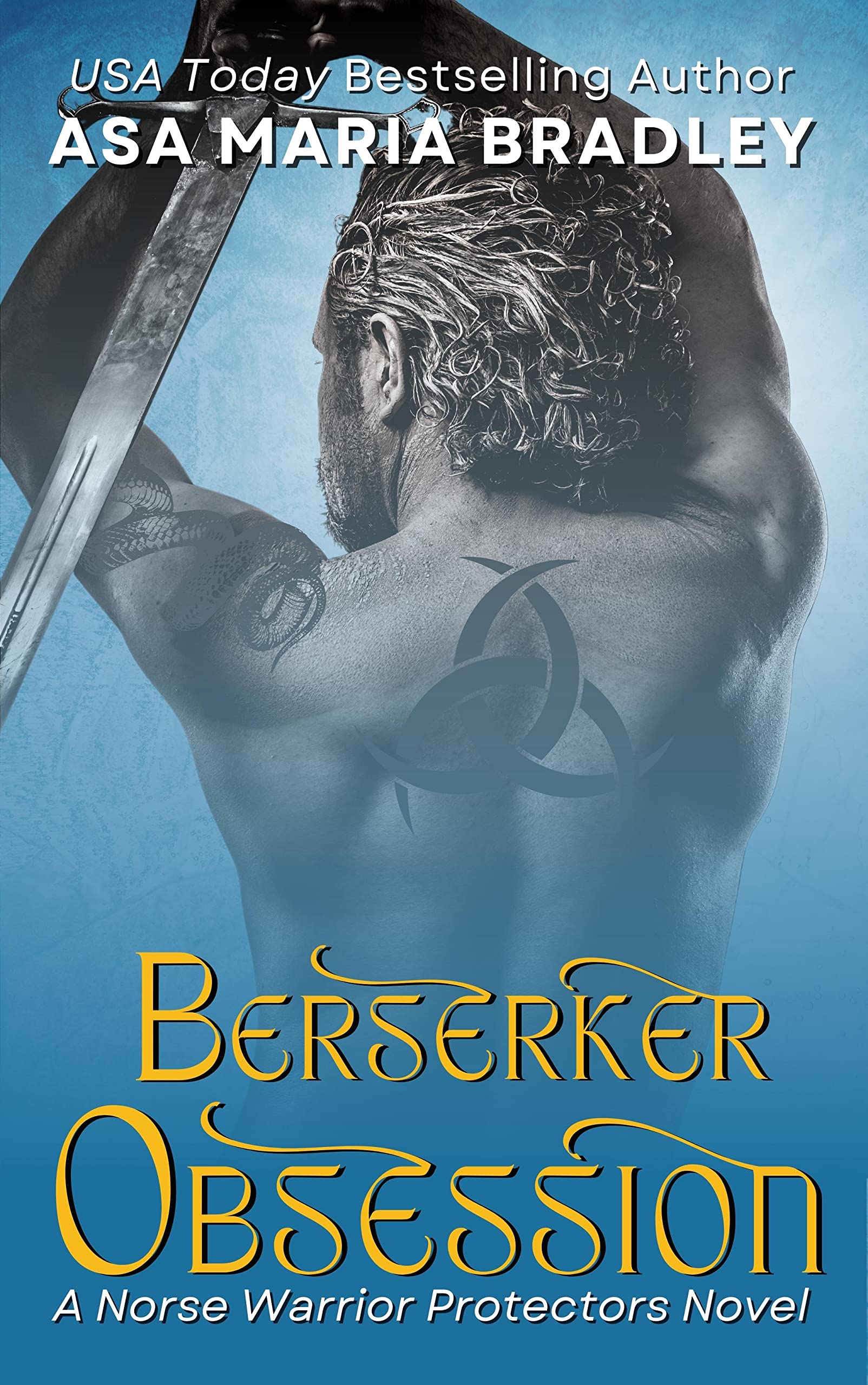 Berserker Obsession book cover