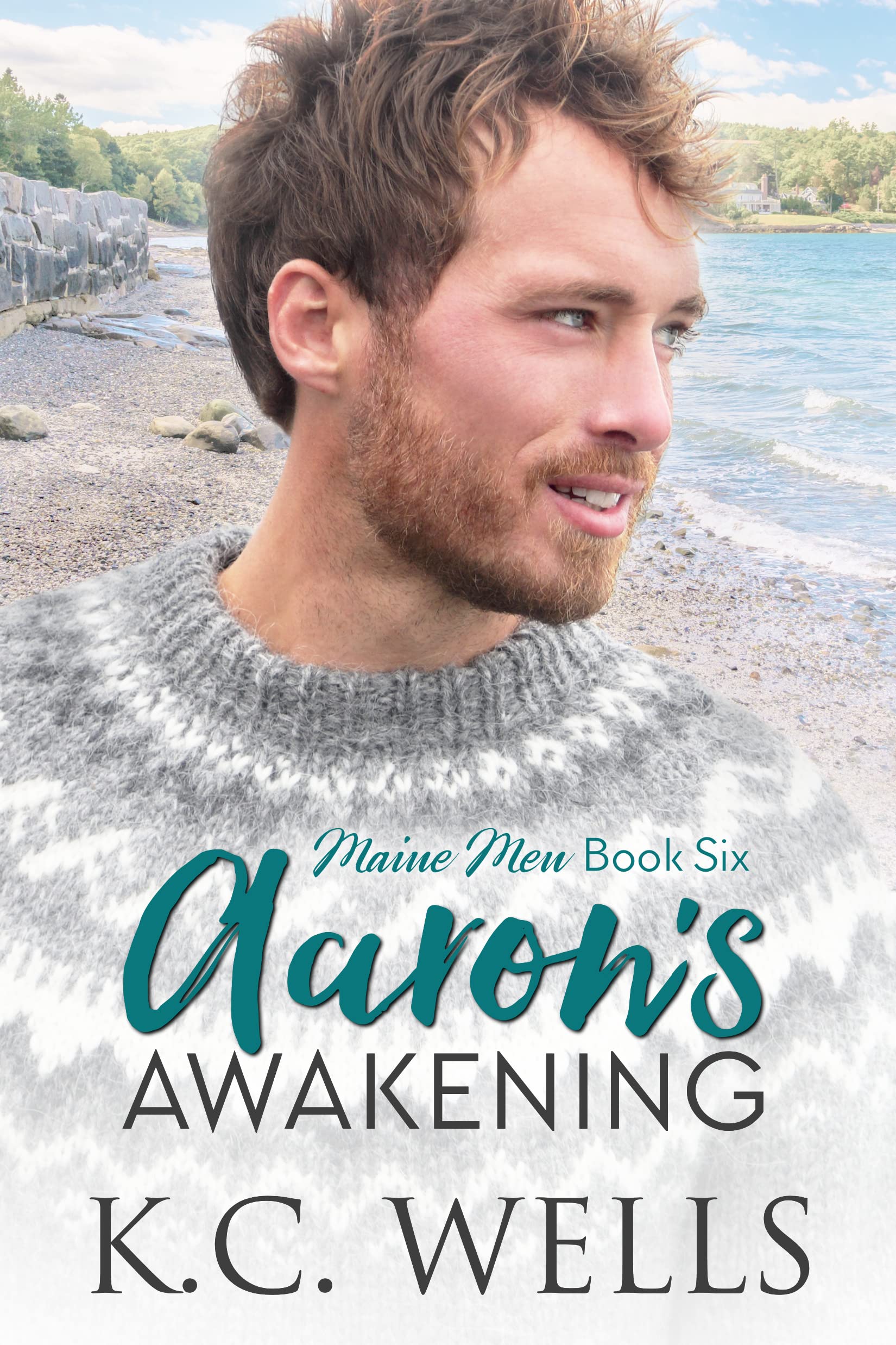 Aaron's Awakening book cover