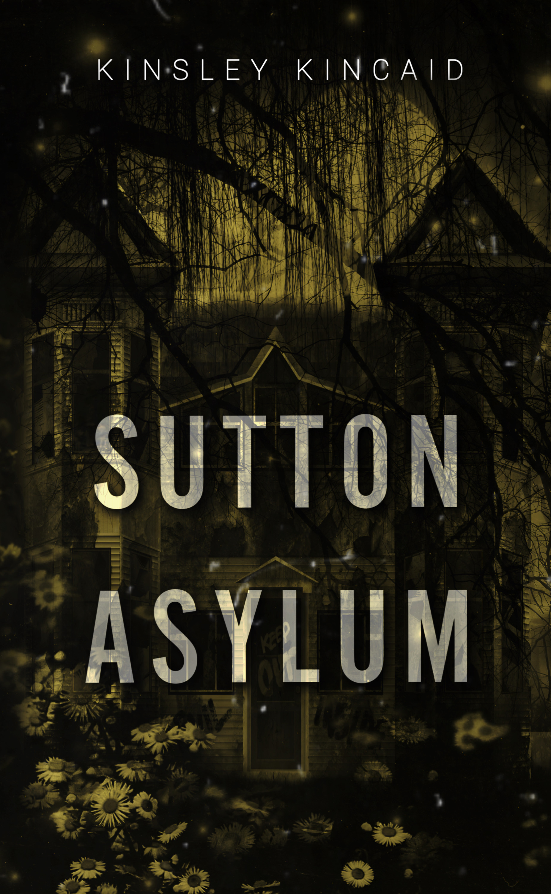 Sutton Asylum book cover