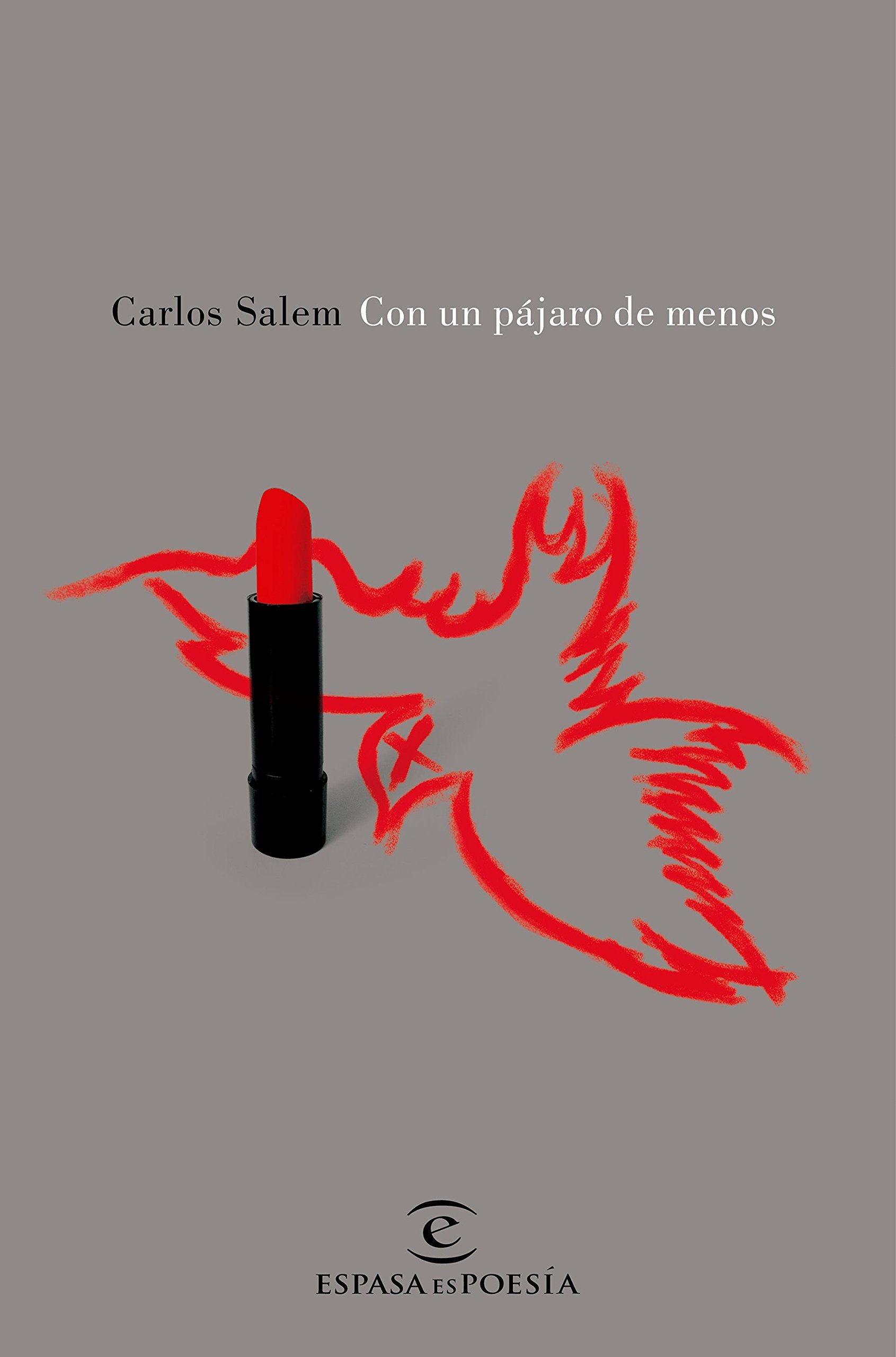 Con un pájaro de menos book cover