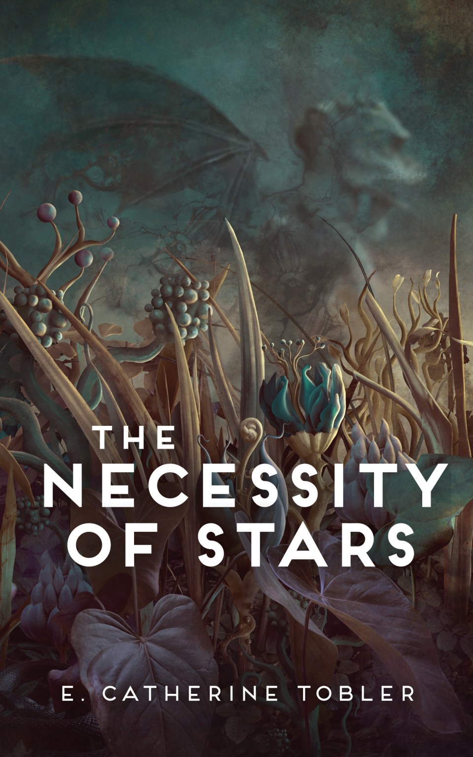 The Necessity of Stars book cover