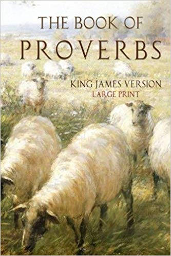 The Book Of Proverbs book cover