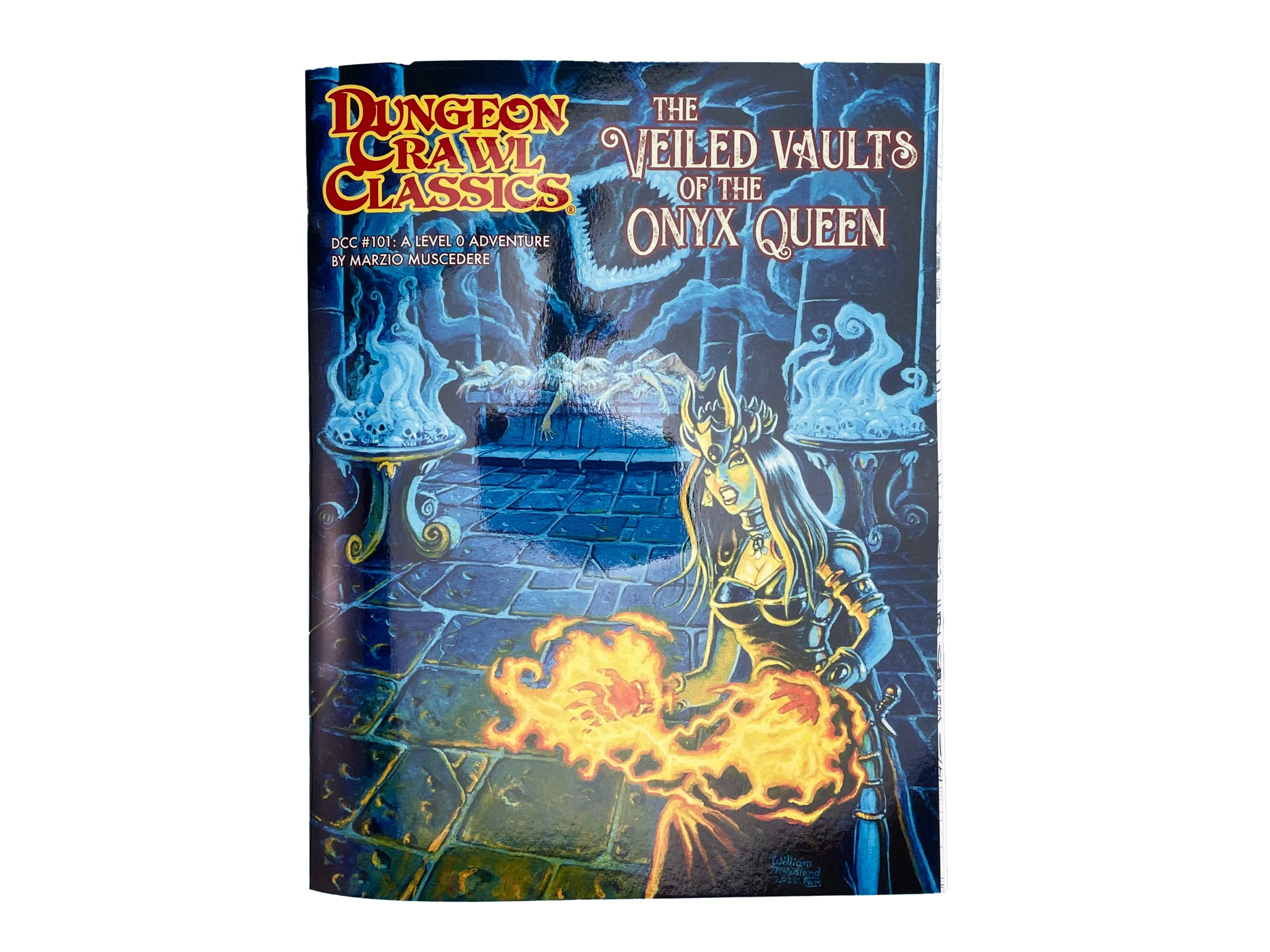 Dungeon Crawl Classics #101 book cover