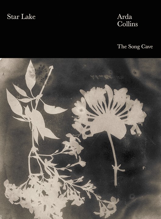 Star Lake book cover
