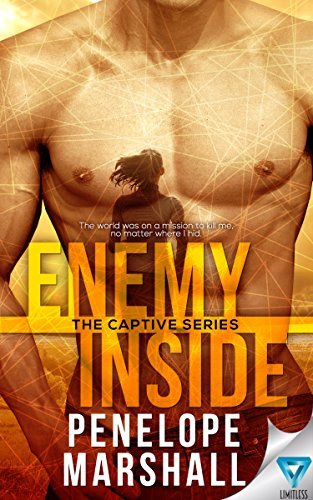 The Captive book cover 1