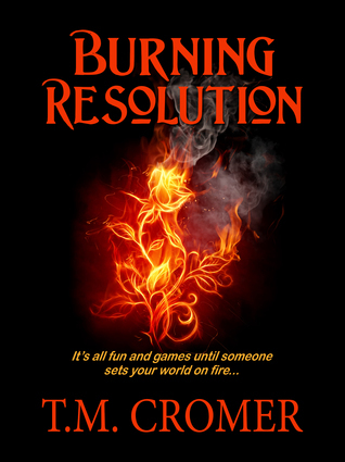 Stonebrooke book cover 1