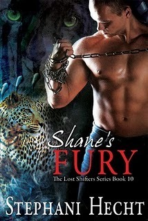 Shane's Fury book cover