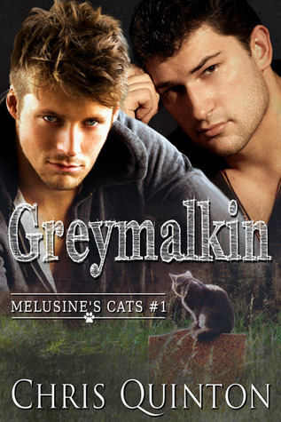 Melusine's Cats book cover 1