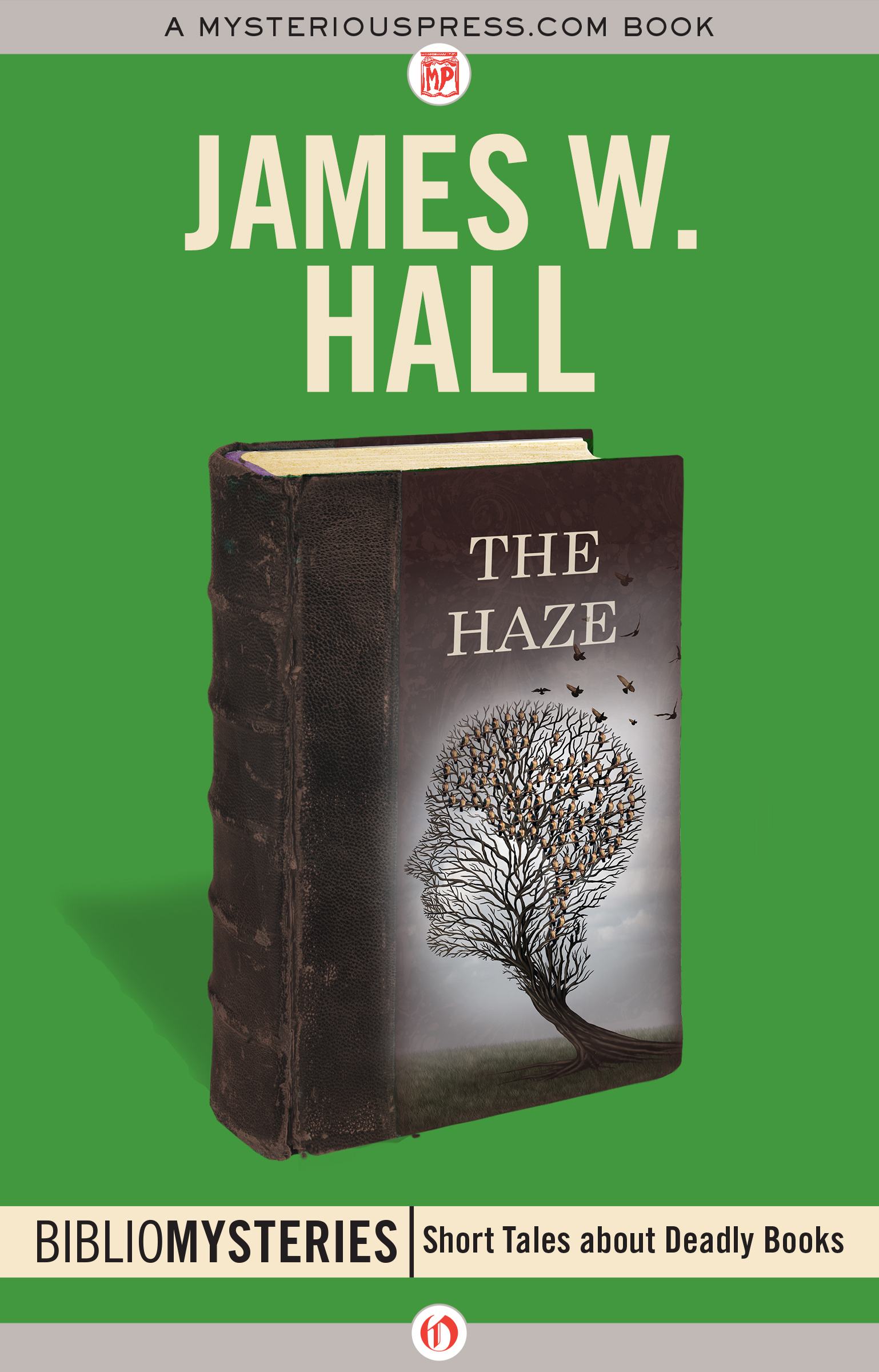The Haze book cover