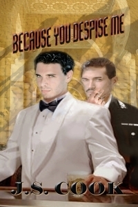 Because You Despise Me book cover