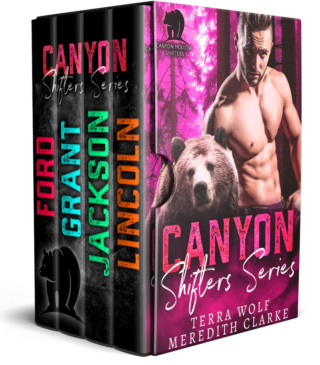Canyon Hollow Shifters Series book cover