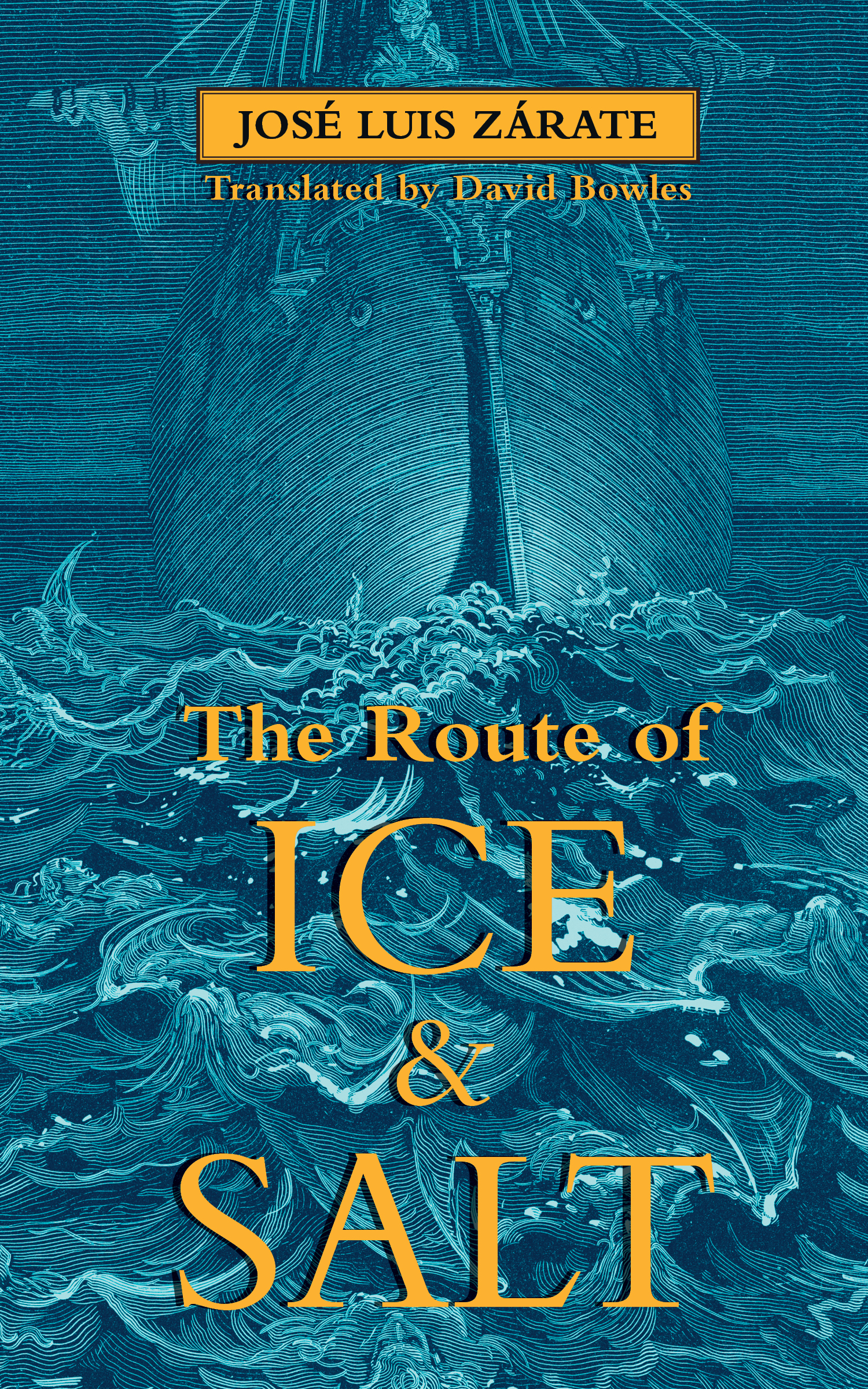 The Route of Ice and Salt book cover