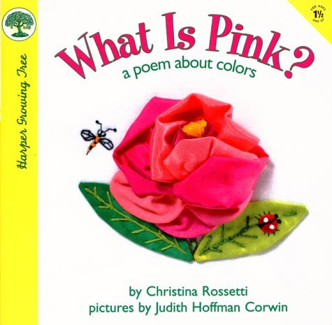 What Is Pink? book cover