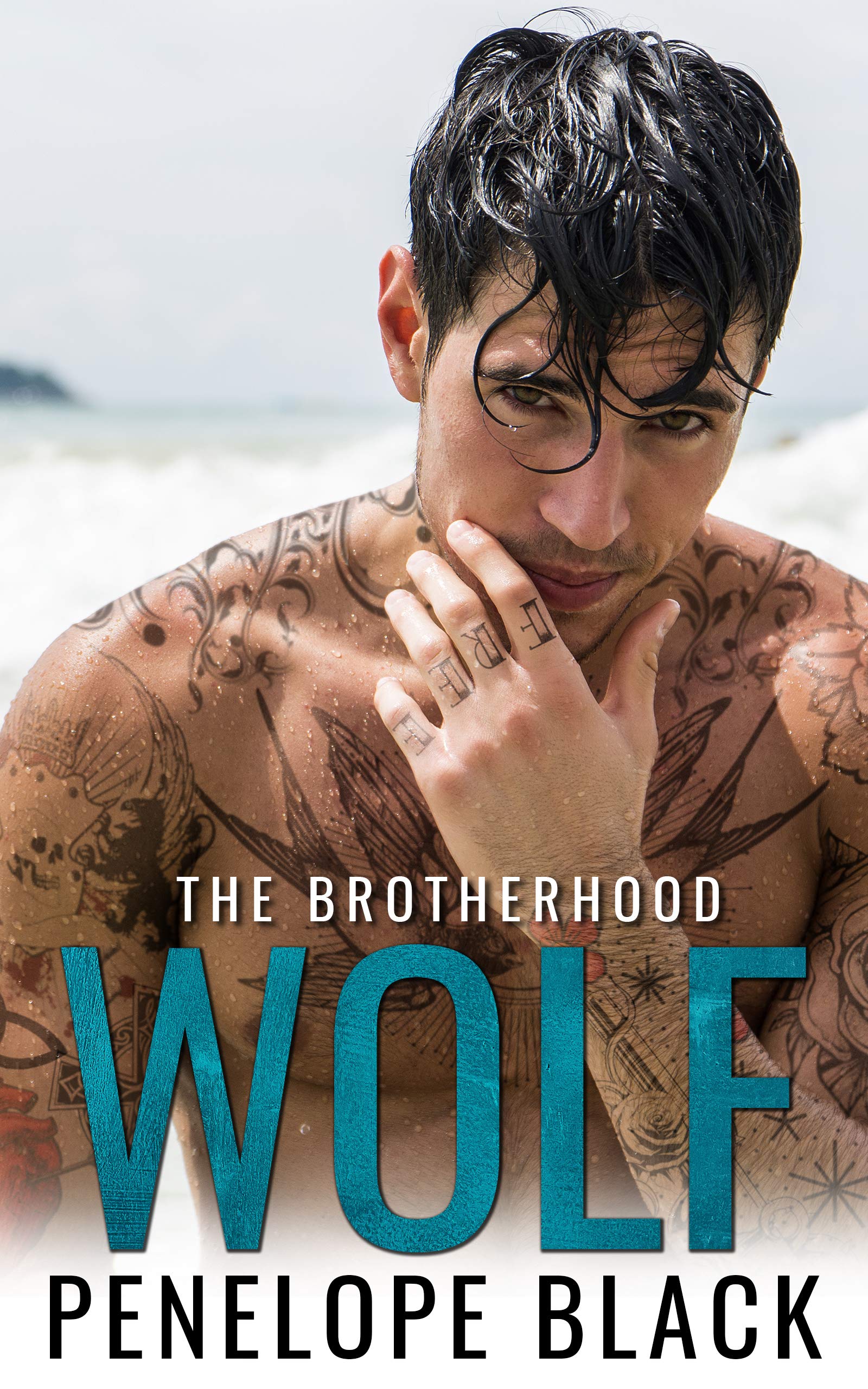 The Brotherhood book cover 1