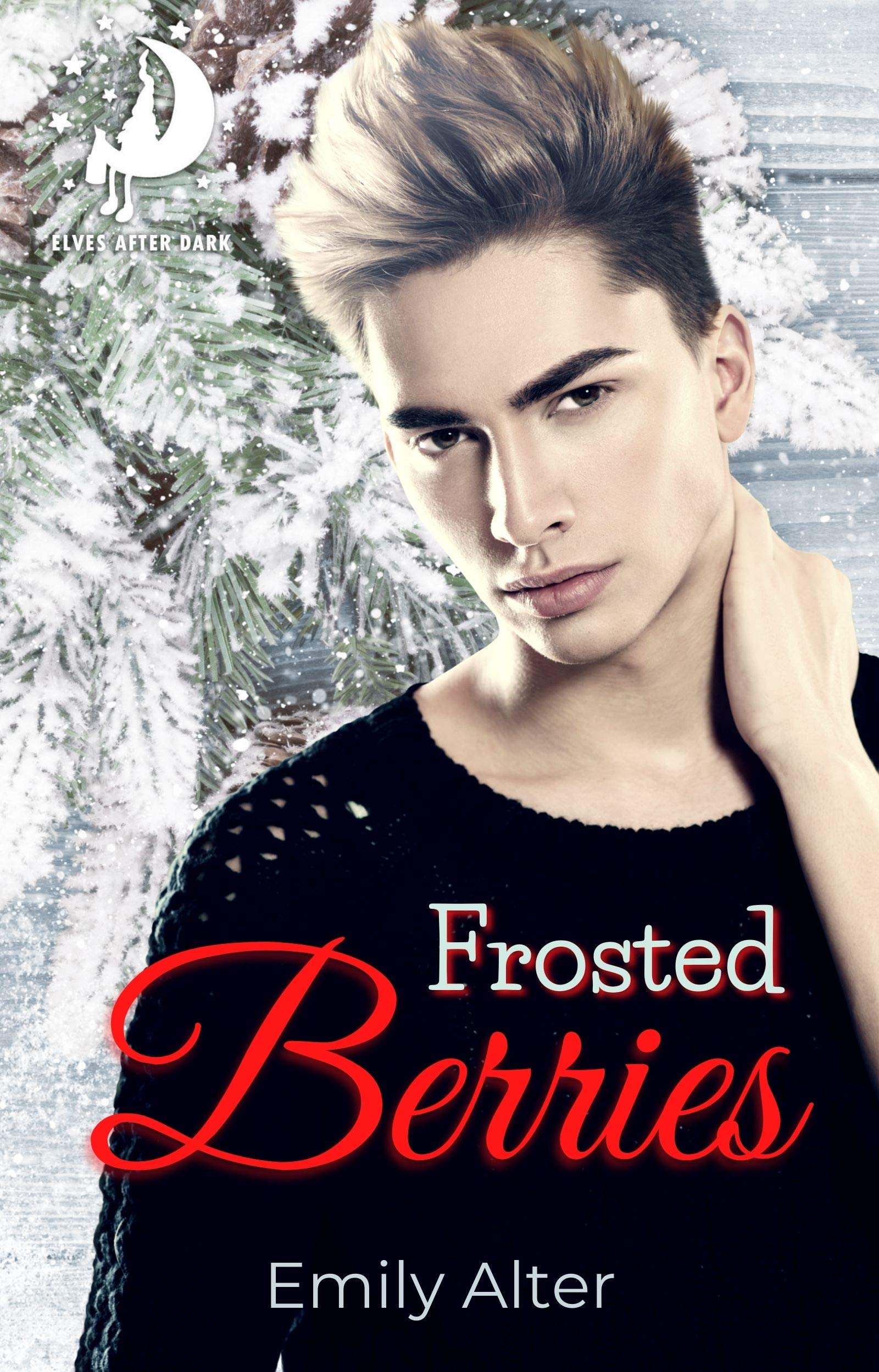 Elves After Dark book cover 3