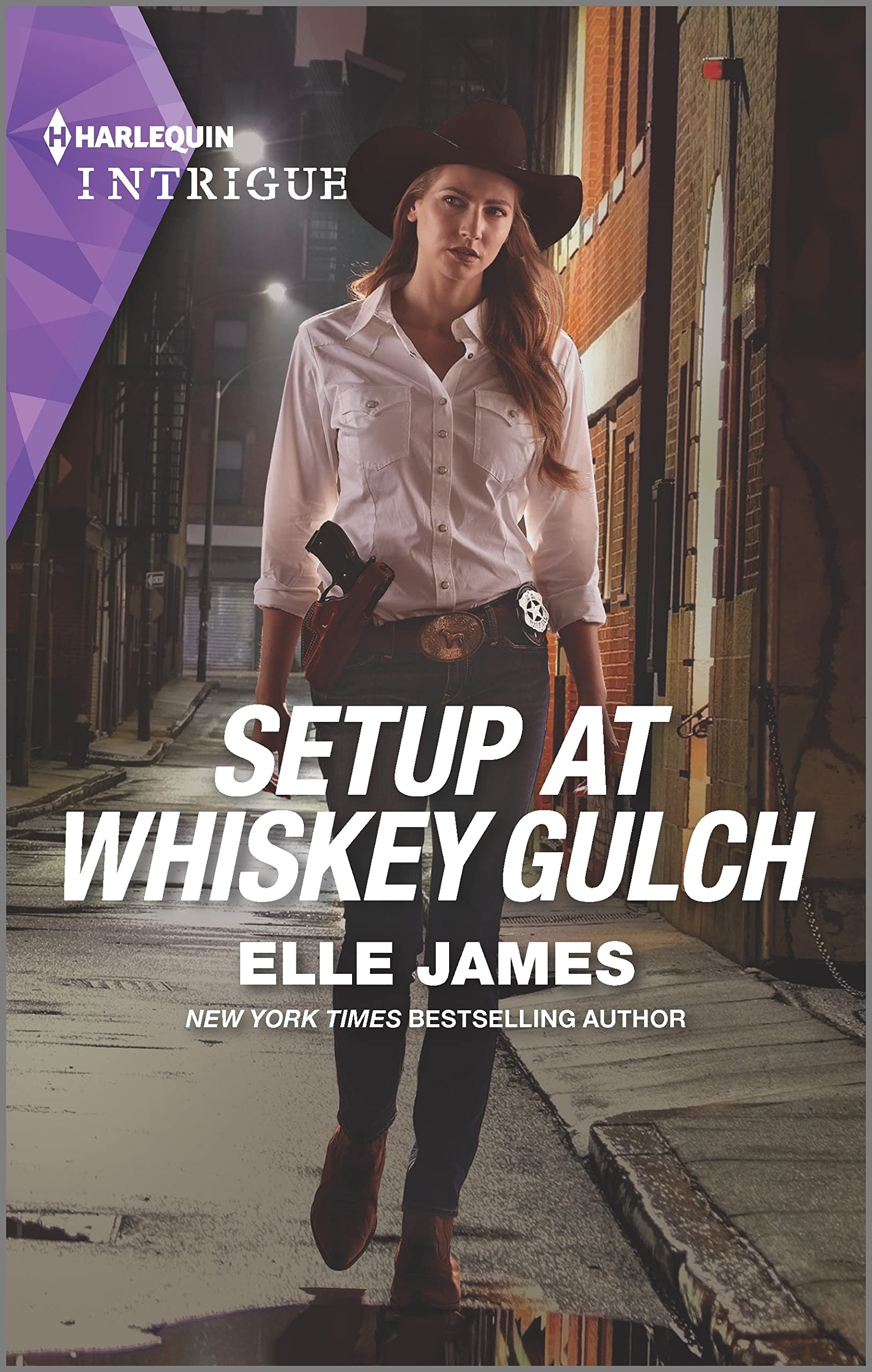 Setup at Whiskey Gulch book cover