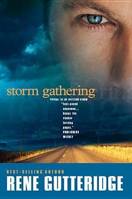 Storm book cover 1