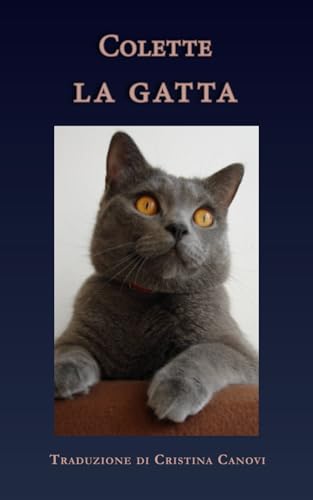 La gatta book cover