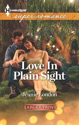 Love In Plain Sight book cover
