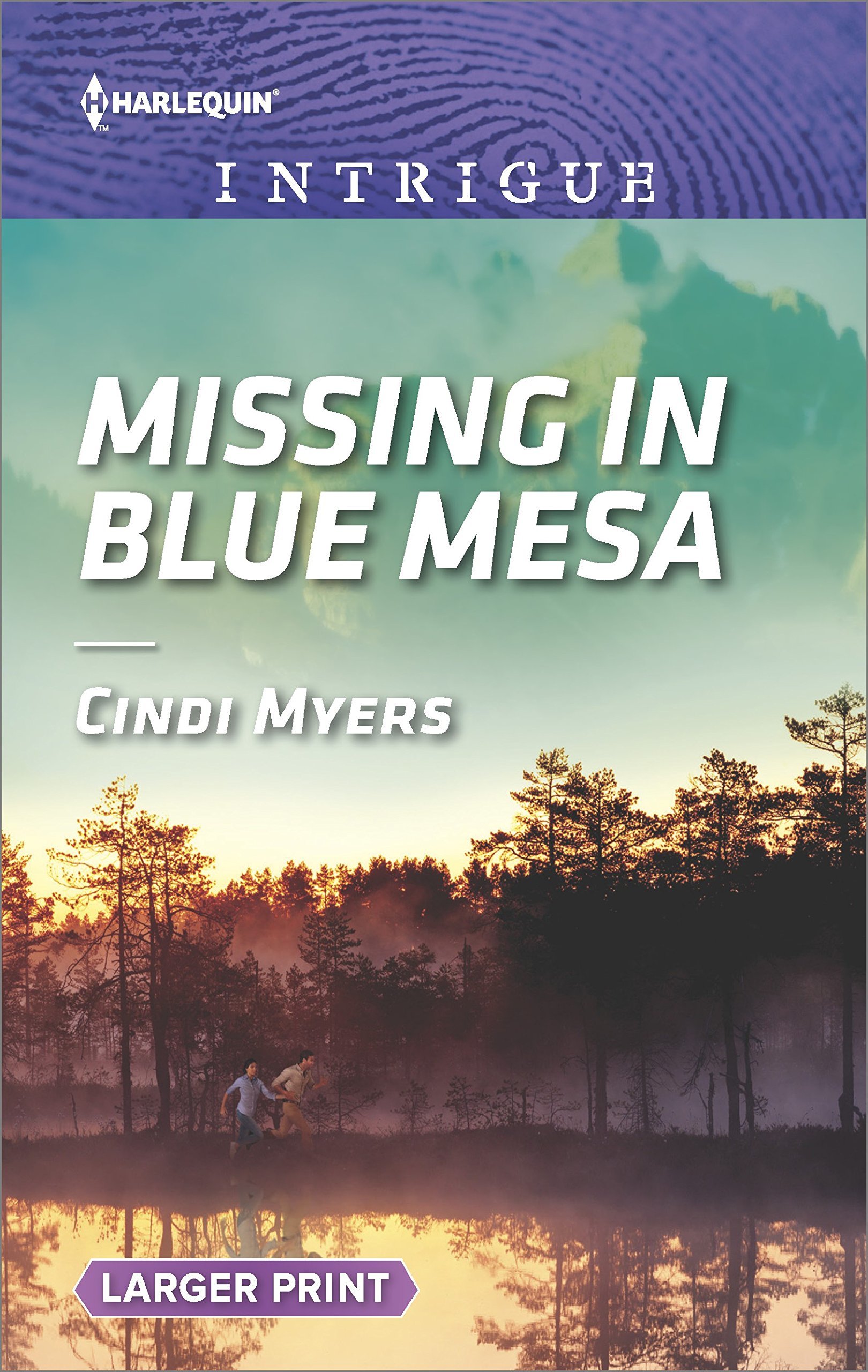 Missing in Blue Mesa book cover