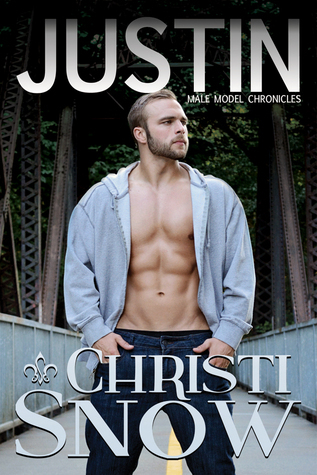 Male Model Chronicles book cover 1