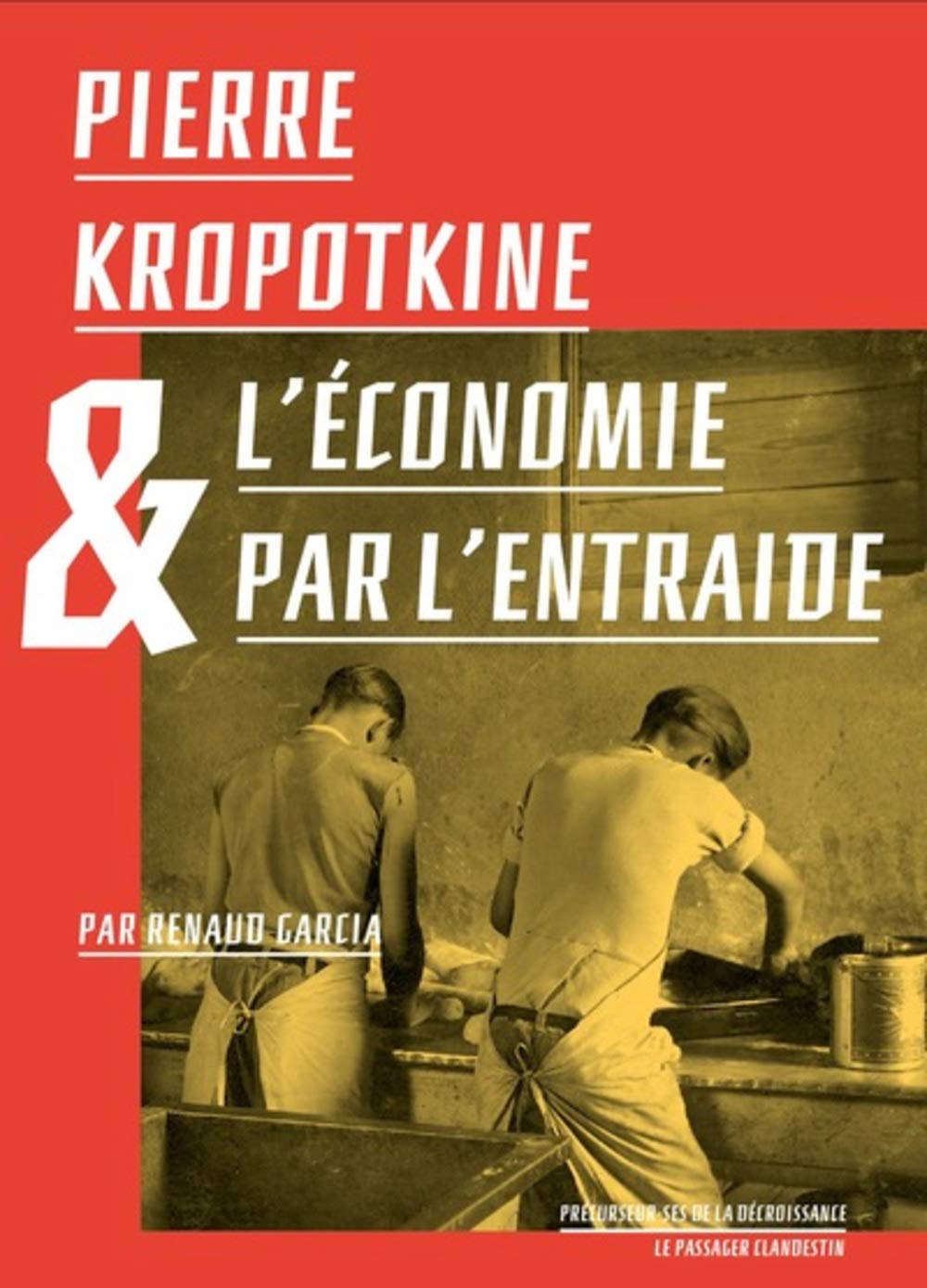 Pierre Kropotkine et l'économie par l'entraide book cover