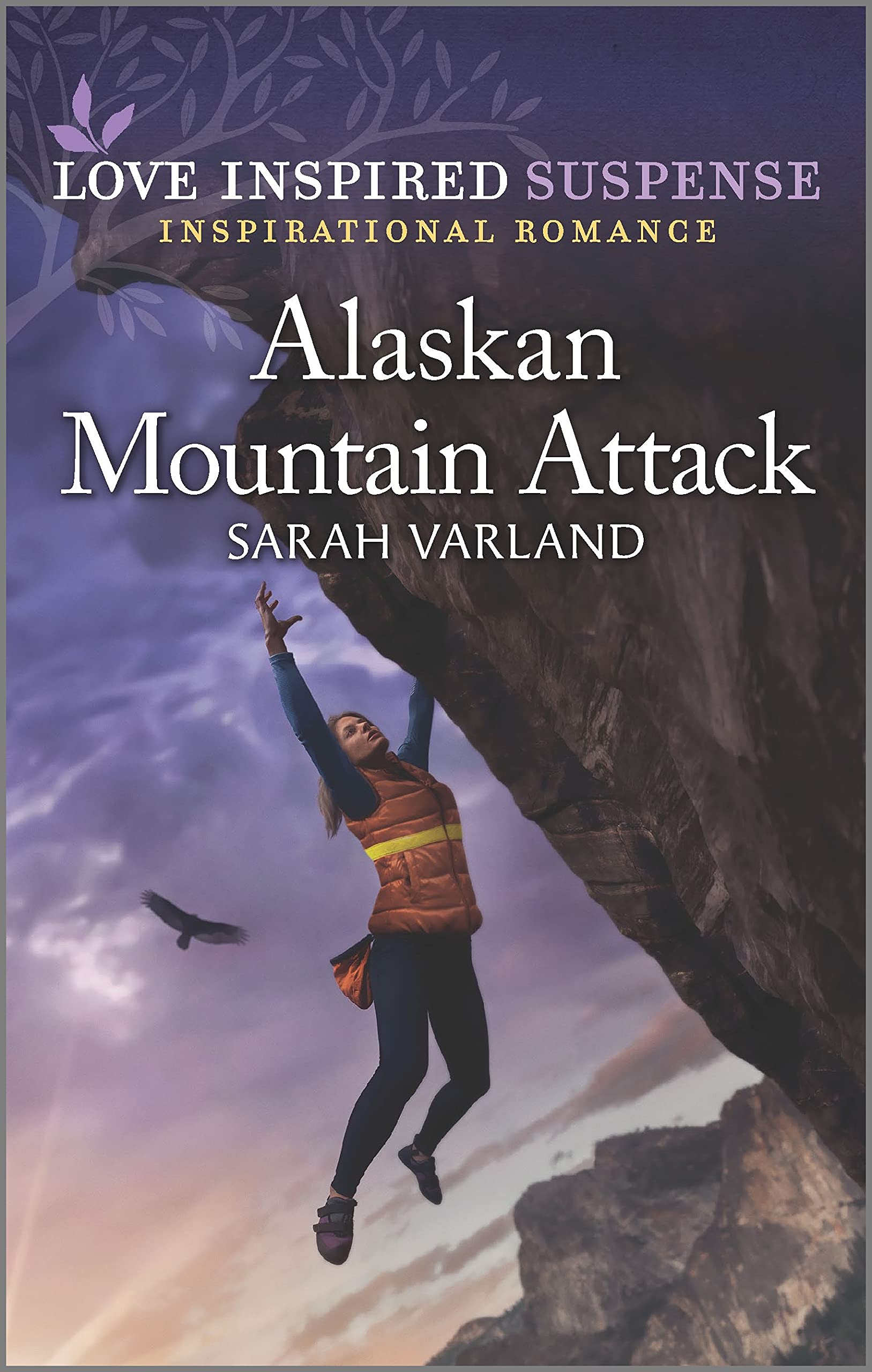 Alaskan Mountain Attack book cover