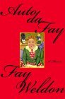 Auto da Fay book cover