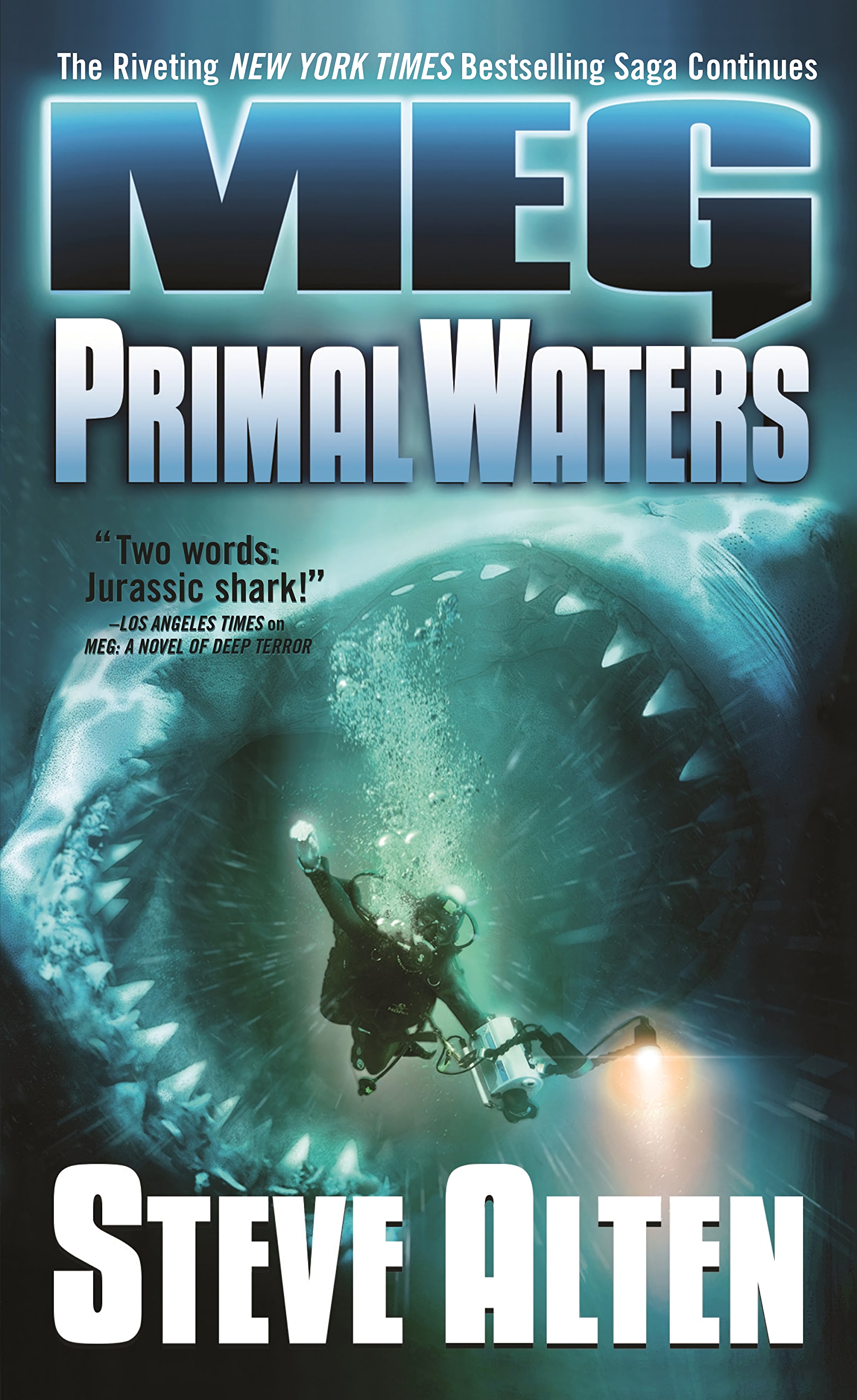 MEG book cover 3