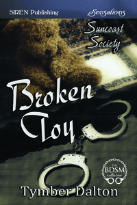 Broken Toy book cover