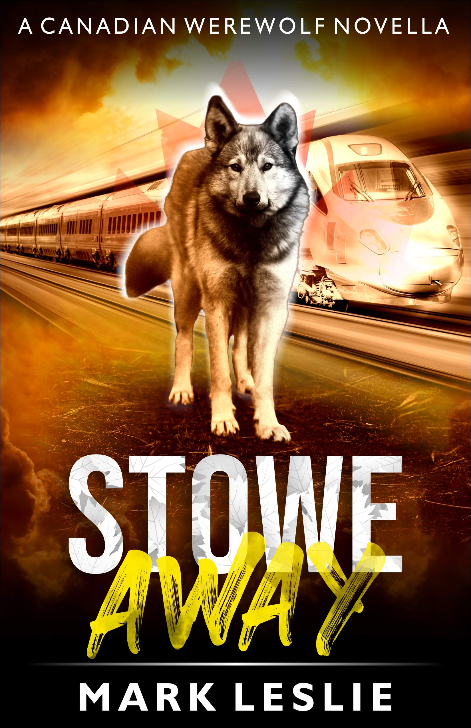 Stowe Away book cover