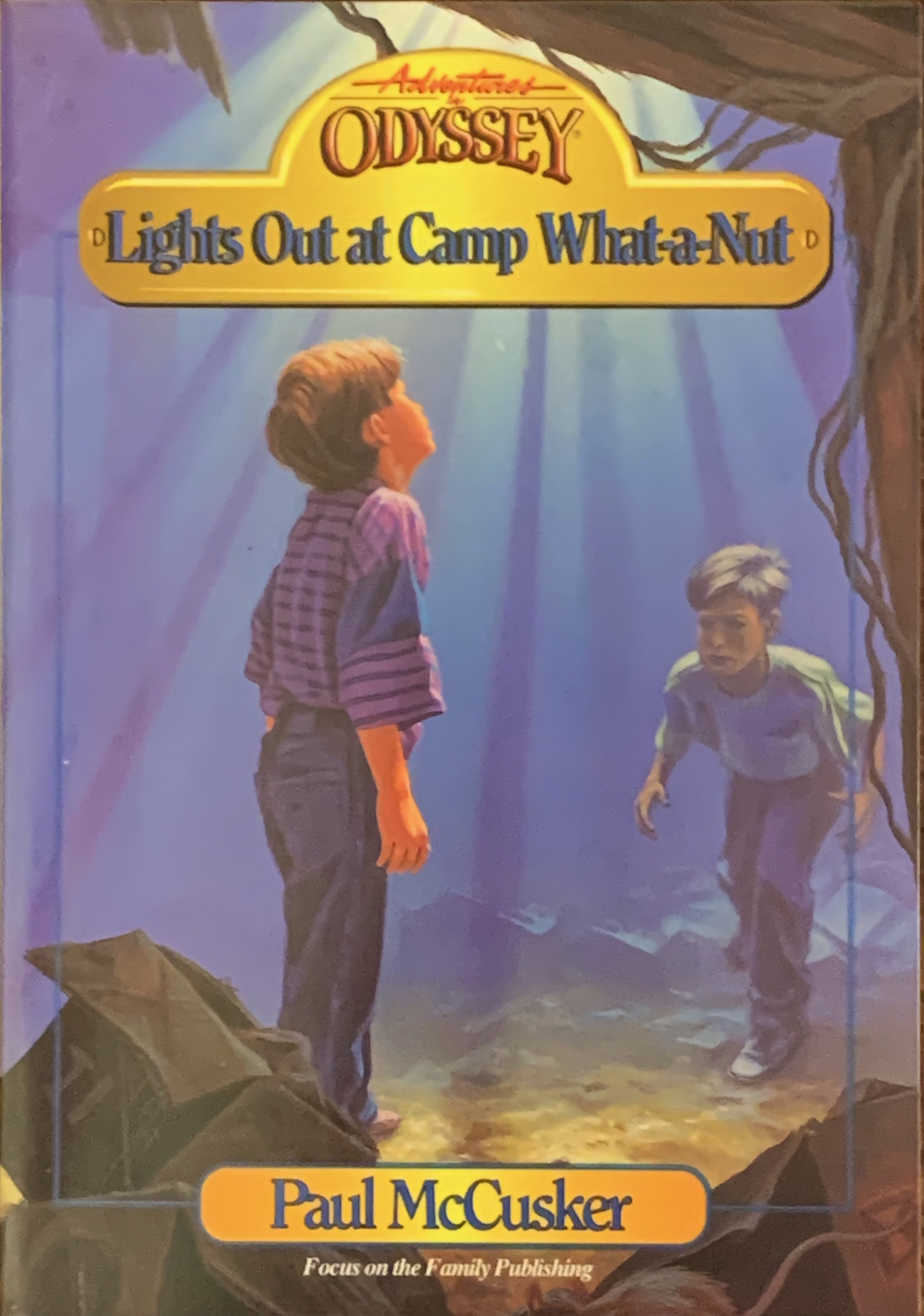 Lights Out at Camp What-a-Nut book cover